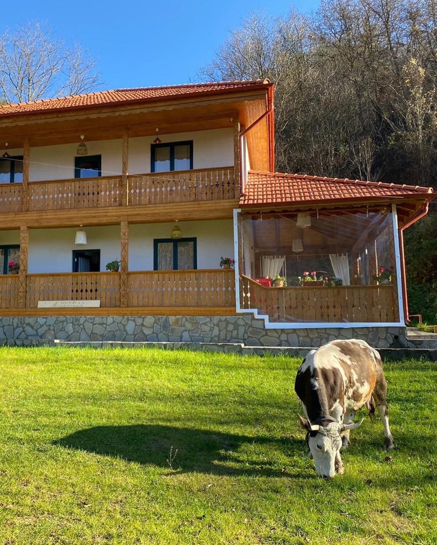 Casa Lila Bed and Breakfast Colti Eksteriør billede